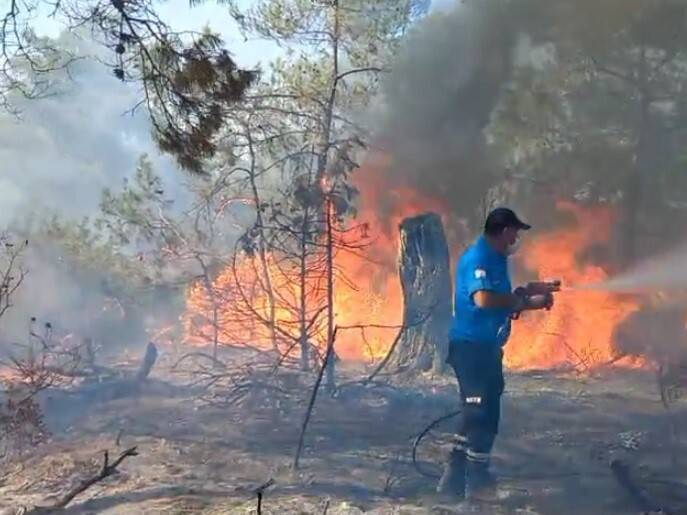 KKTC’de orman yangını