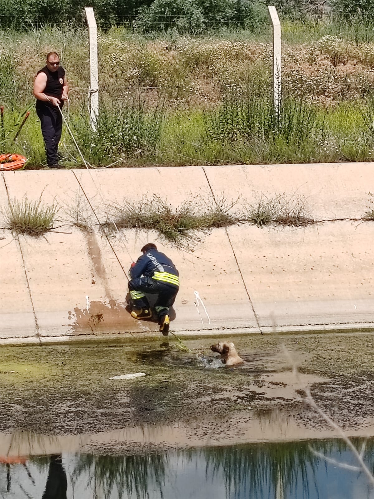 Konya'da sulama kanalına düşen köpeği itfaiye ekipleri kurtardı