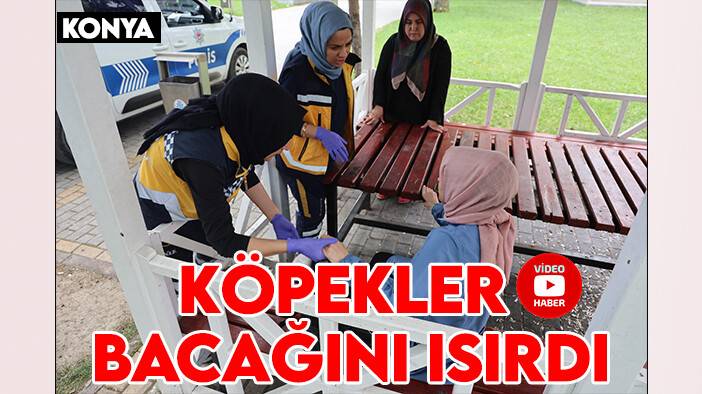 Konya'da parkta başıboş köpek saldırısı: Genç kızı ısırdılar