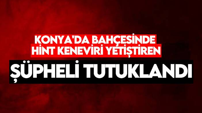 Konya'da bahçesinde kenevir yetiştiren şüpheli tutuklandı