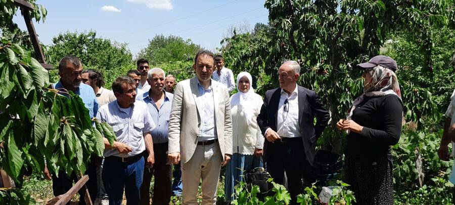 Kirazın değerinde alıcı bulması sağlanmalıdır