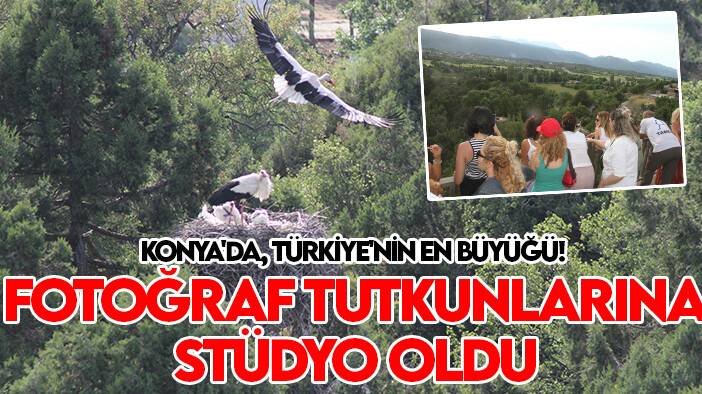 Konya'da, Türkiye'nin en büyüğü! Fotoğraf tutkunlarına stüdyo oldu