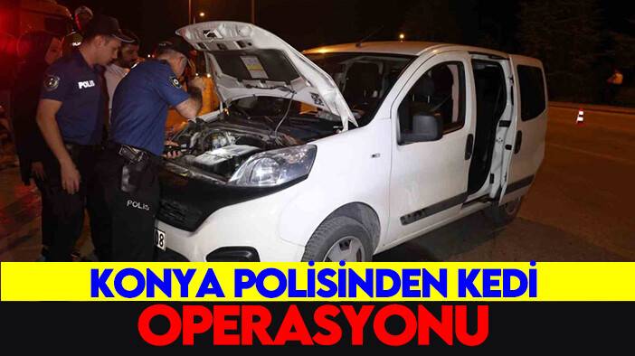 Konya polisinden kedi operasyonu!