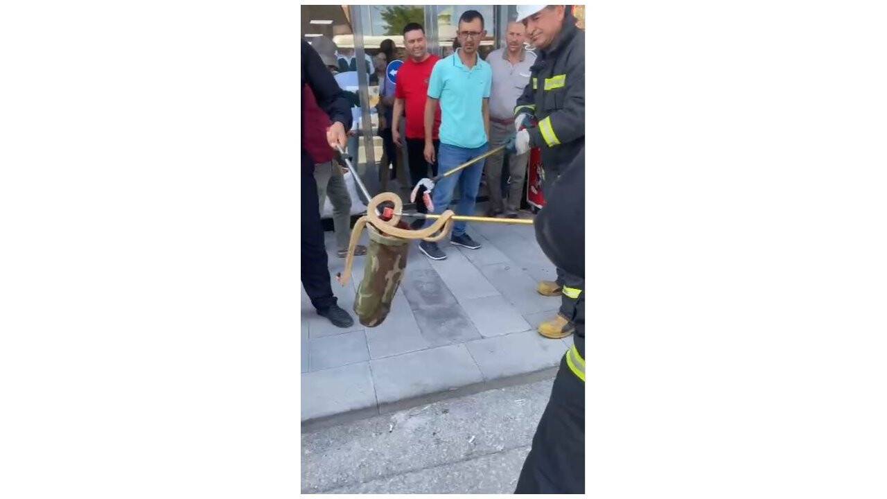 Konya'da park halindeki otomobilin altından yılan çıktı