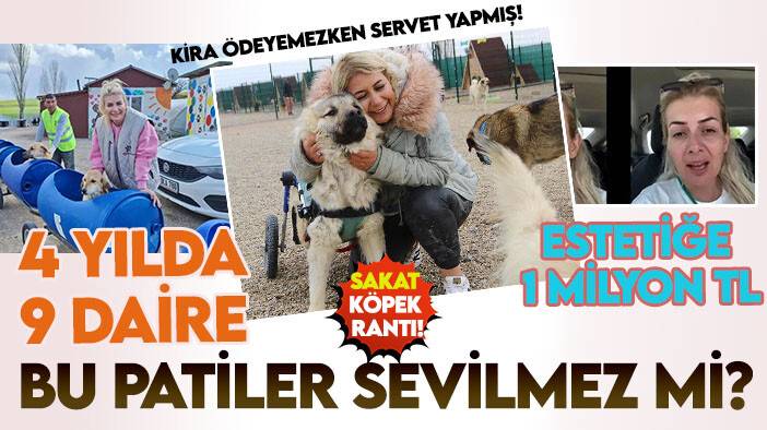 Büyük rant! Patiler Derneği Başkanı Buket Özgünlü'nün köpek serveti şaşırttı!