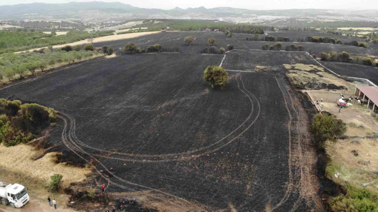 Ezine’deki orman yangını kontrol altına alındı