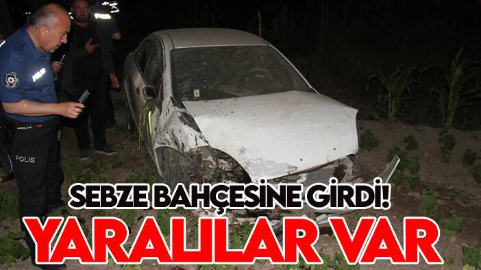 Konya'da kaza: Sebze bahçesine girdi! Yaralılar var