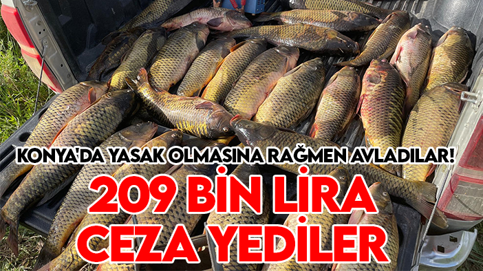 Konya'da yasak olmasına rağmen avladılar! 209 bin lira ceza yediler