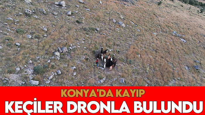 Konya'da kaybolan keçiler dronla bulundu