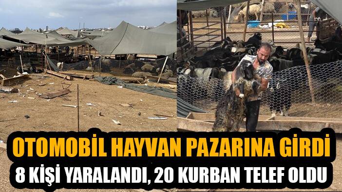 Otomobil hayvan pazarına girdi: 8 yaralı, 20 kurbanlık hayvan telef oldu