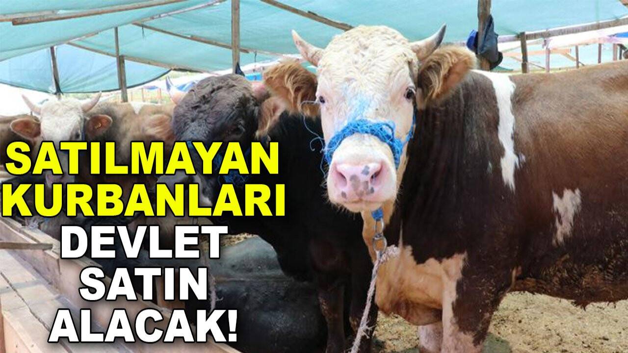 Bakanlık açıkladı! Satılamayan kurbanlıklar ESK tarafından satın alınacak