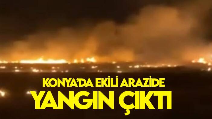 Konya’da ekili arazide yangın çıktı!