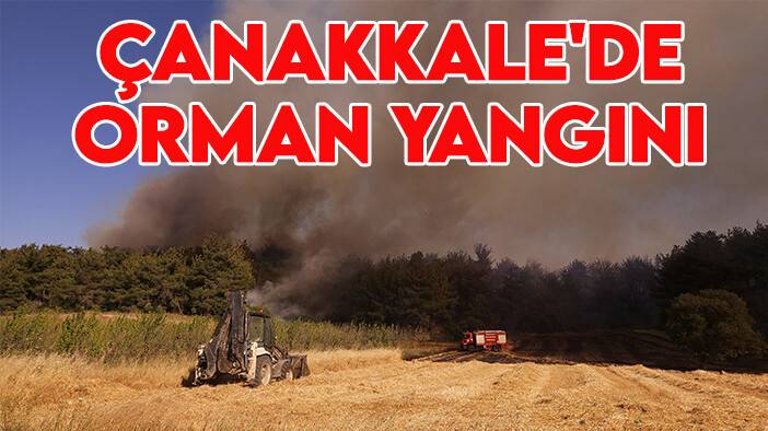 Çanakkale'de orman yangını: Gemi trafiği geçici olarak askıya alındı!