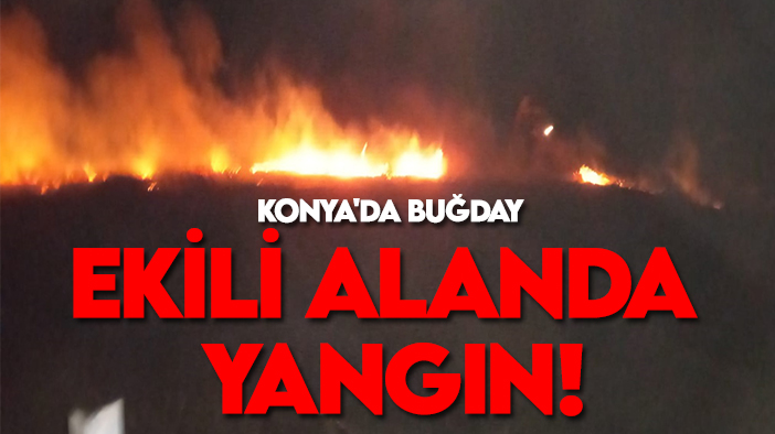 Konya'da buğday ekili alanda yangın!