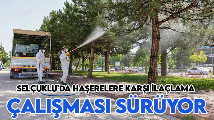 Selçuklu'da haşerelere karşı ilaçlama çalışması sürüyor