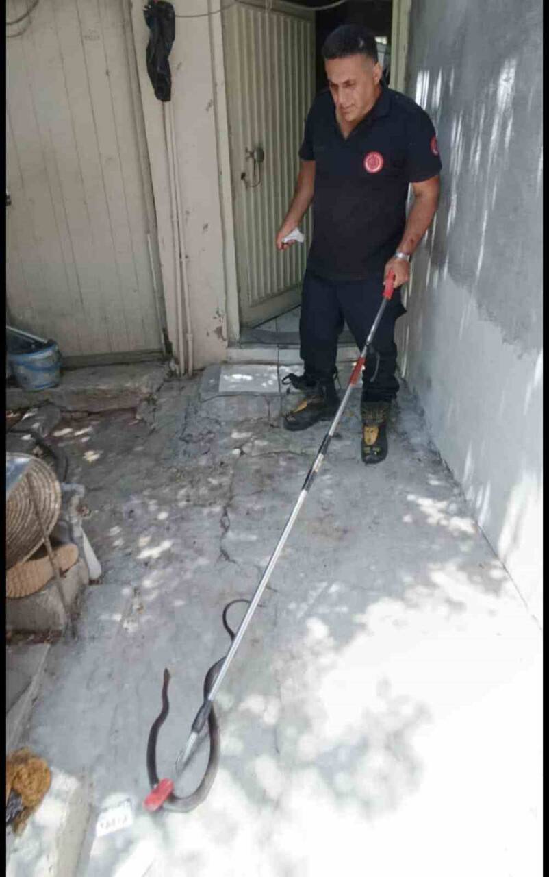 Eve giren yılanı itfaiye ekipleri yakaladı