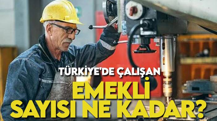 SGK'nın verileri: Türkiye'de çalışan emekli sayısı ne kadar?