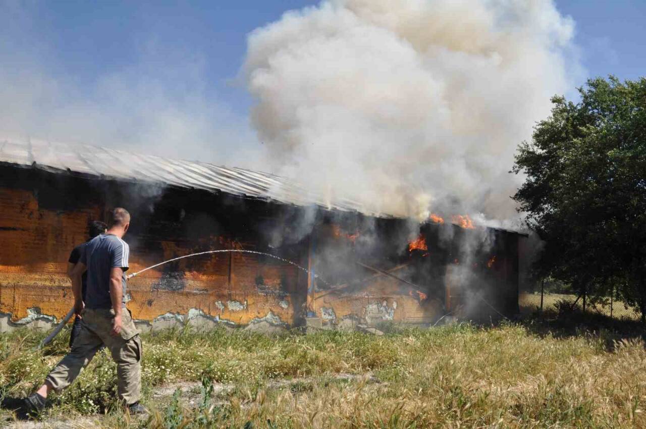 Kümes alev alev yandı: 20 bin adet canlı civciv telef oldu