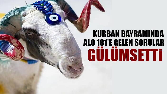 Kurban Bayramı'nda ALO 181'e gelen çağrılar gülümsetti