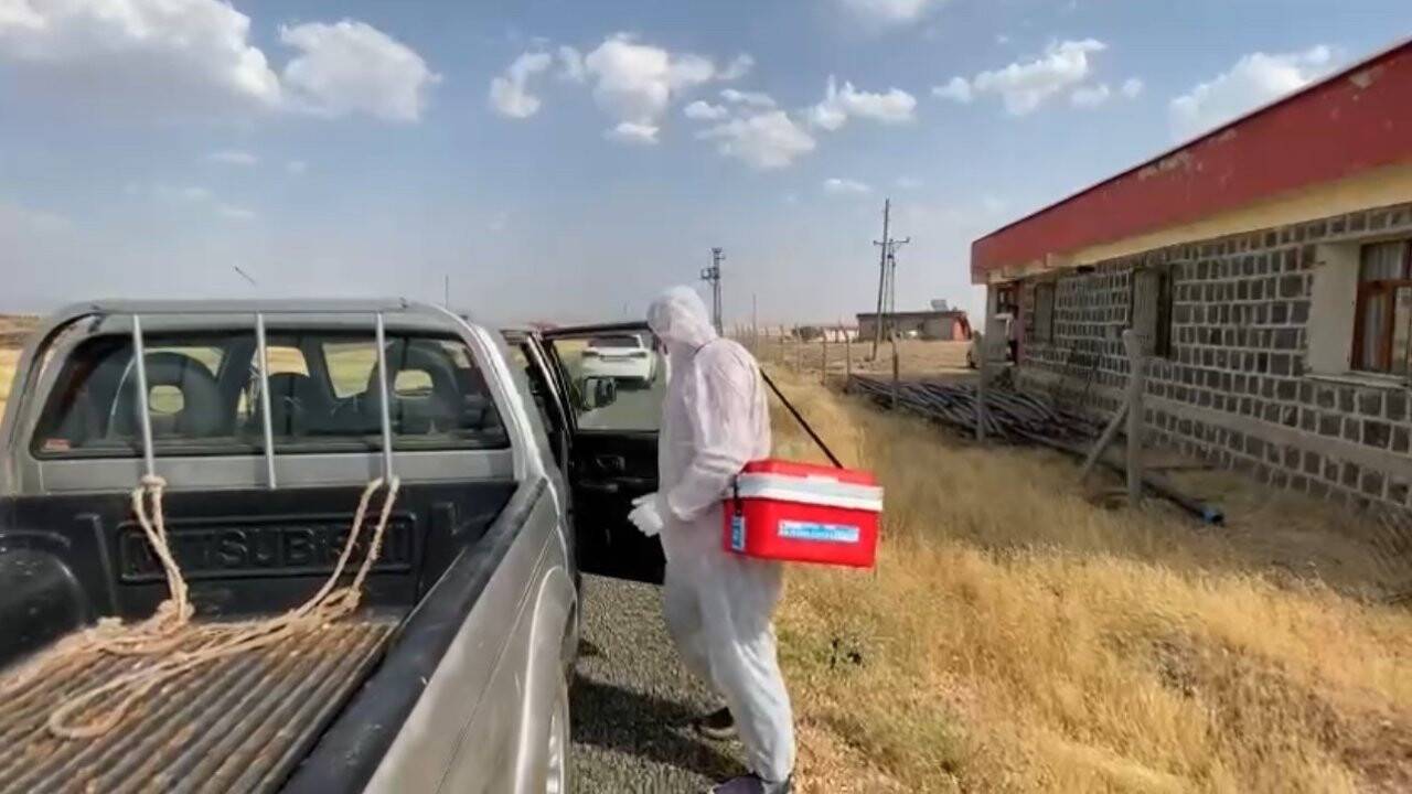 Şanlıurfa’da bir kuduz vakası daha