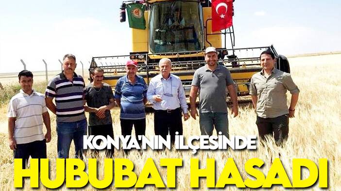 Konya'nın ilçesinde tarım alanlarında hasat başladı