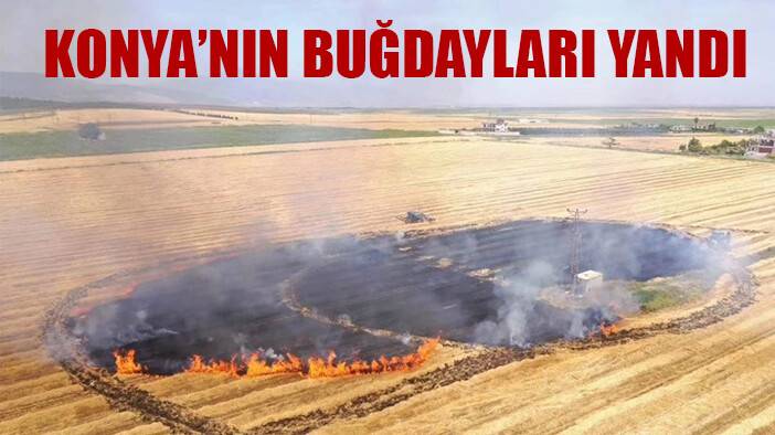 Konya'nın buğdayları yandı