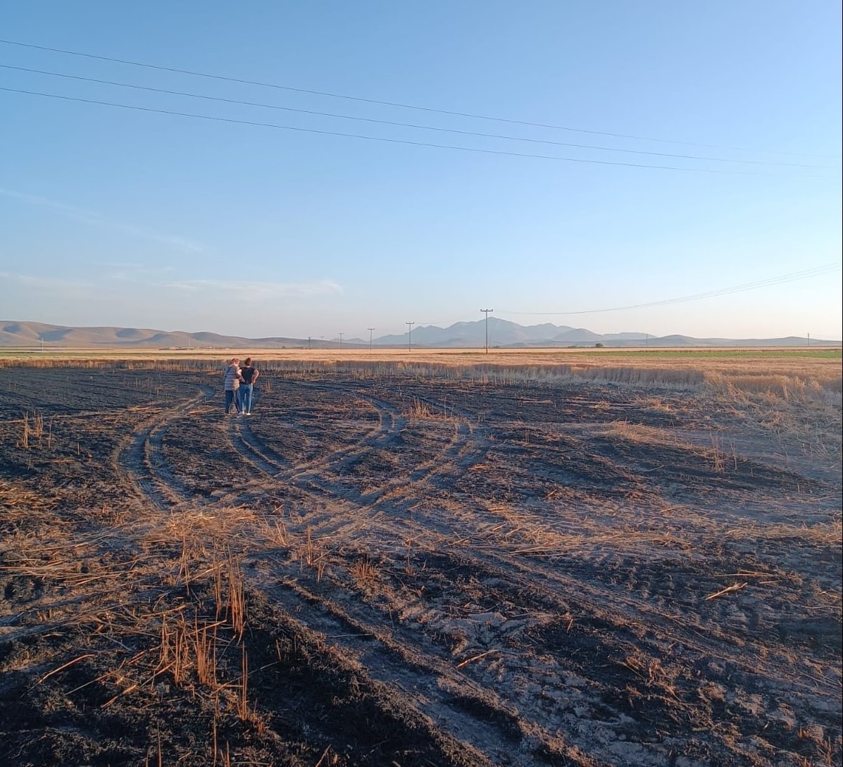 Konya'da buğday ekili tarla alev alev yandı