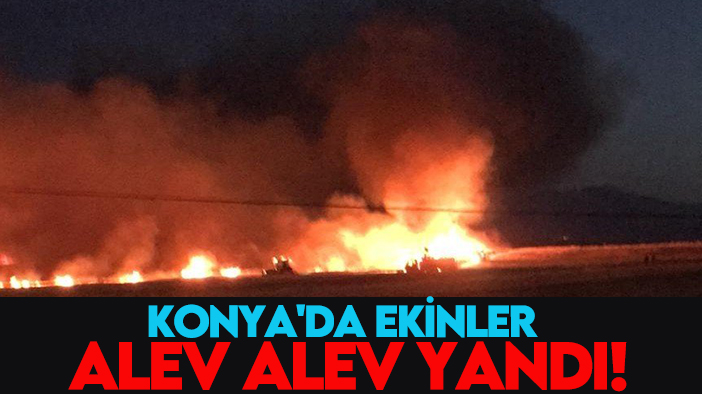 Konya'da ekinler alev alev yandı!