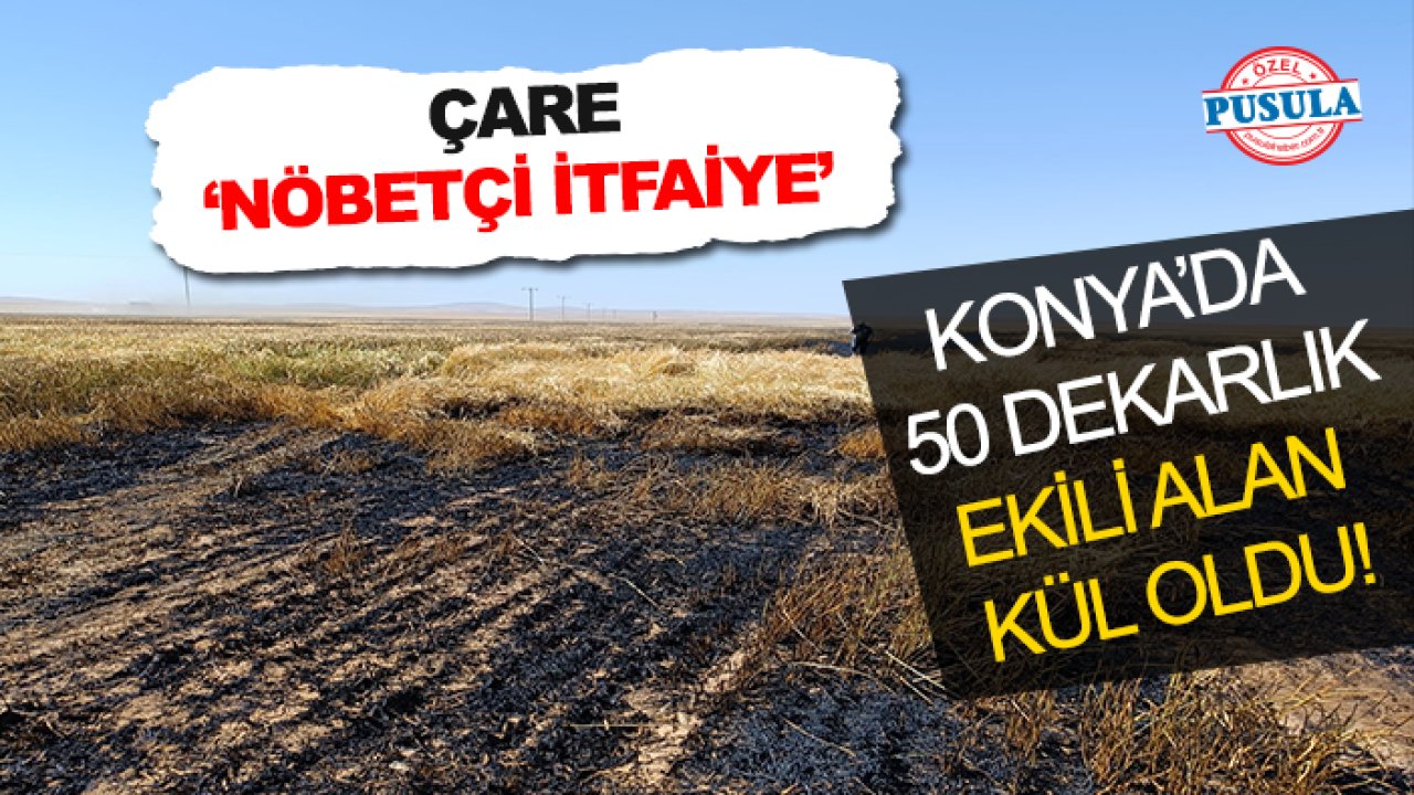 Konya’da 50 dekarlık ekili alan kül oldu! Muhtar ‘Nöbetçi İtfaiye’ talebinde bulundu