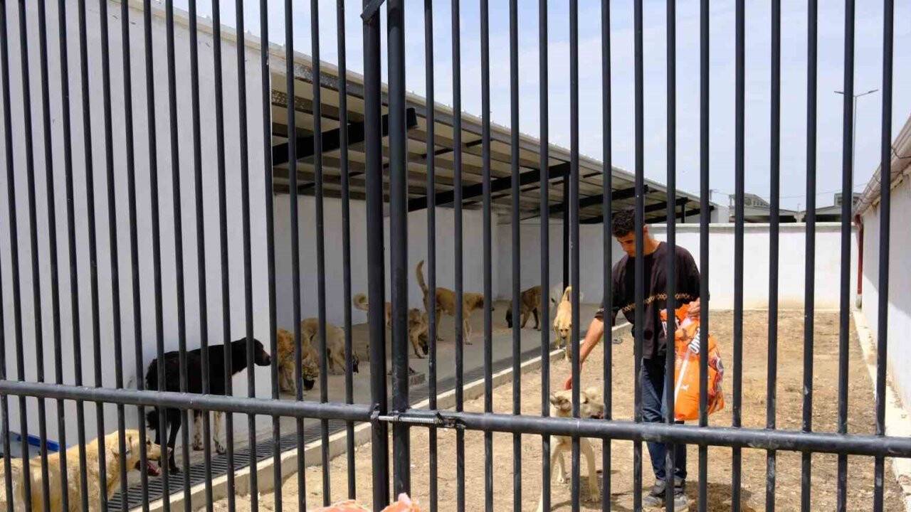 Konya'da Bir Can Bir Yuva projesi hayata geçti