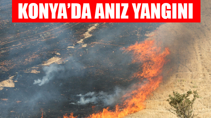 Konya'da çıkan anız yangını panikletti