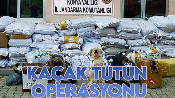 Konya'da bir tırda 1,9 ton kaçak tütün ele geçirildi