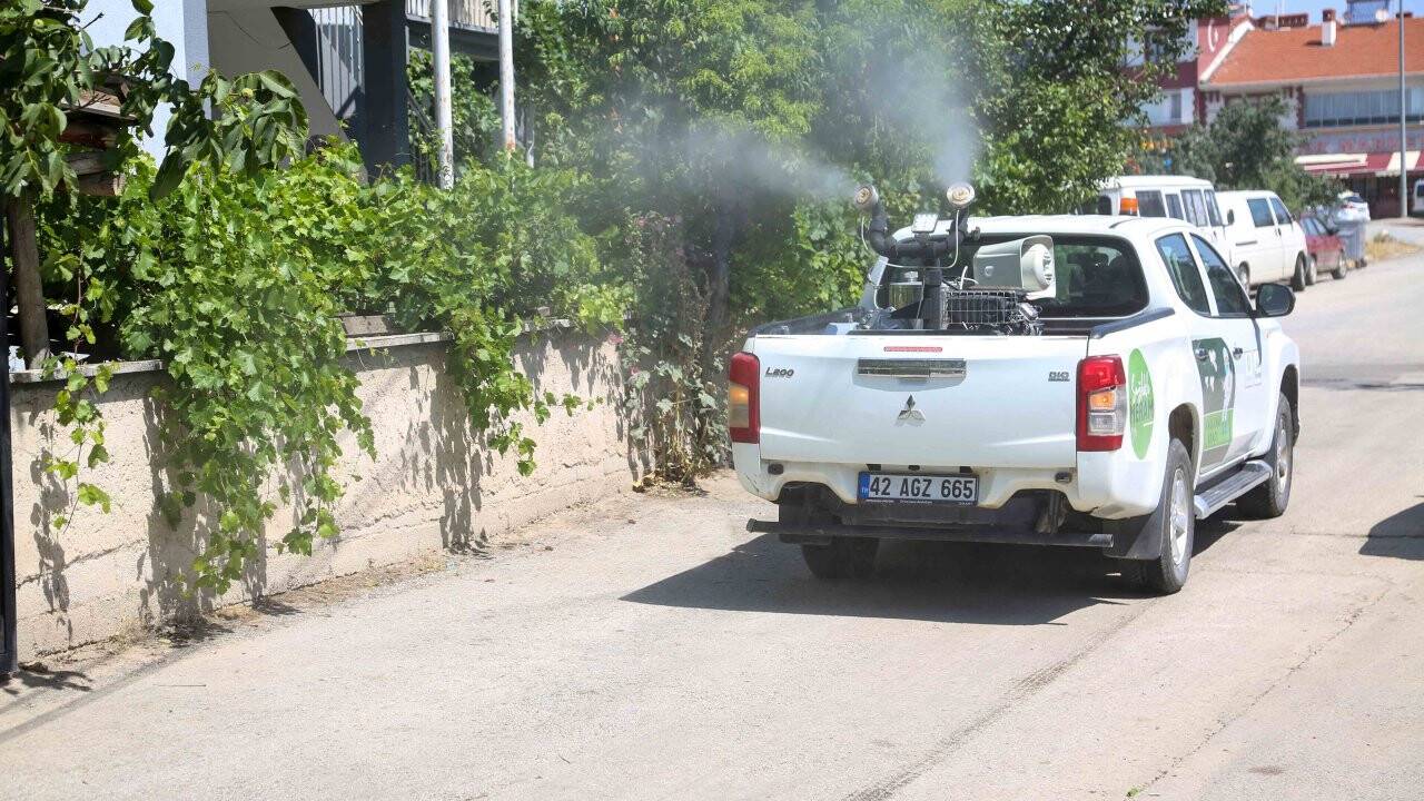 Meram'da sinek ve haşerelere karşı ilaçlama çalışması