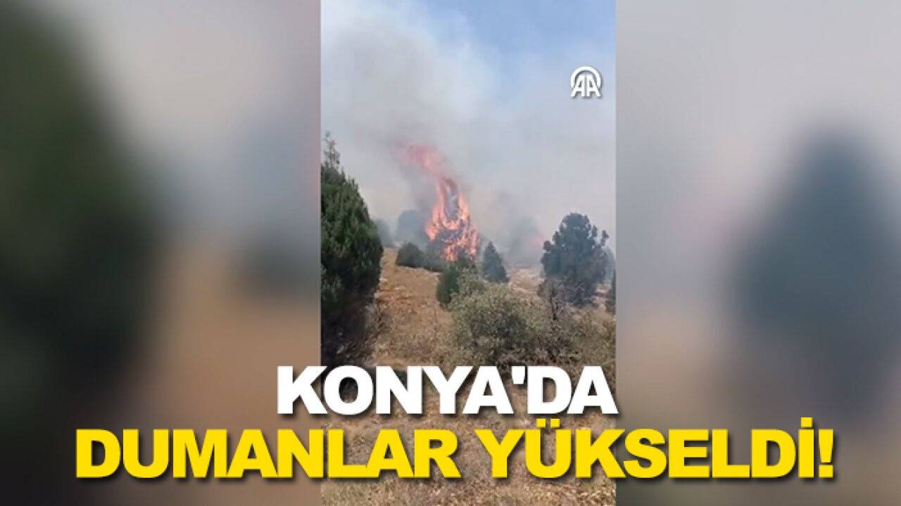 Konya'da dumanlar yükseldi! Makilik alanda yangın çıktı