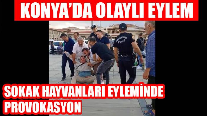 Konya'da sokak hayvanları eyleminde provokasyon