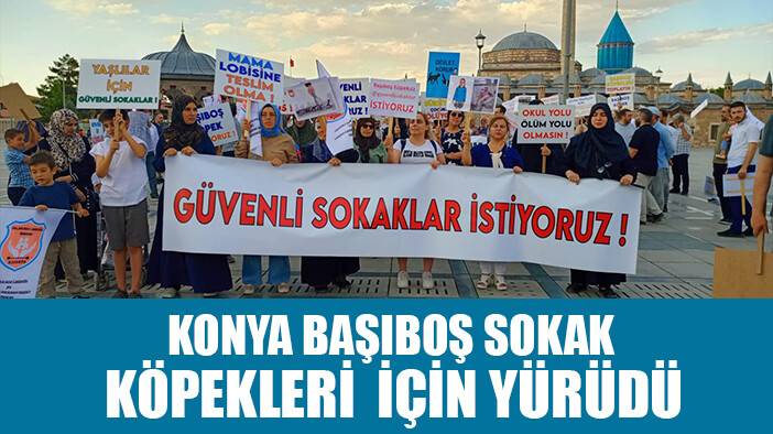 Konya başıboş sokak köpekleri için yürüdü