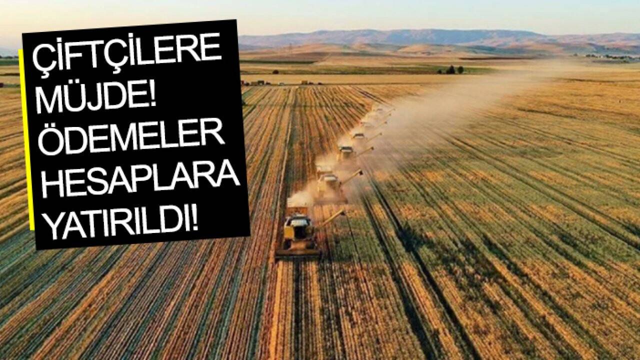 Çiftçilere müjde! Ödemeler hesaplara yatırıldı