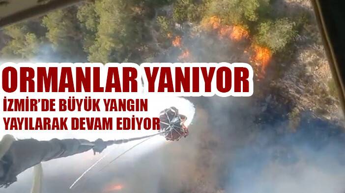 İzmir'de 8'i ormanlık alandaki 16 yangına müdahale edildi