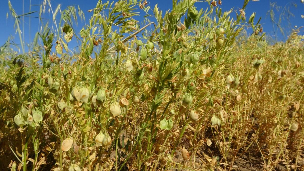 Aylıkları 45 bin liraya geliyor, işçiler her geçen gün azalıyor