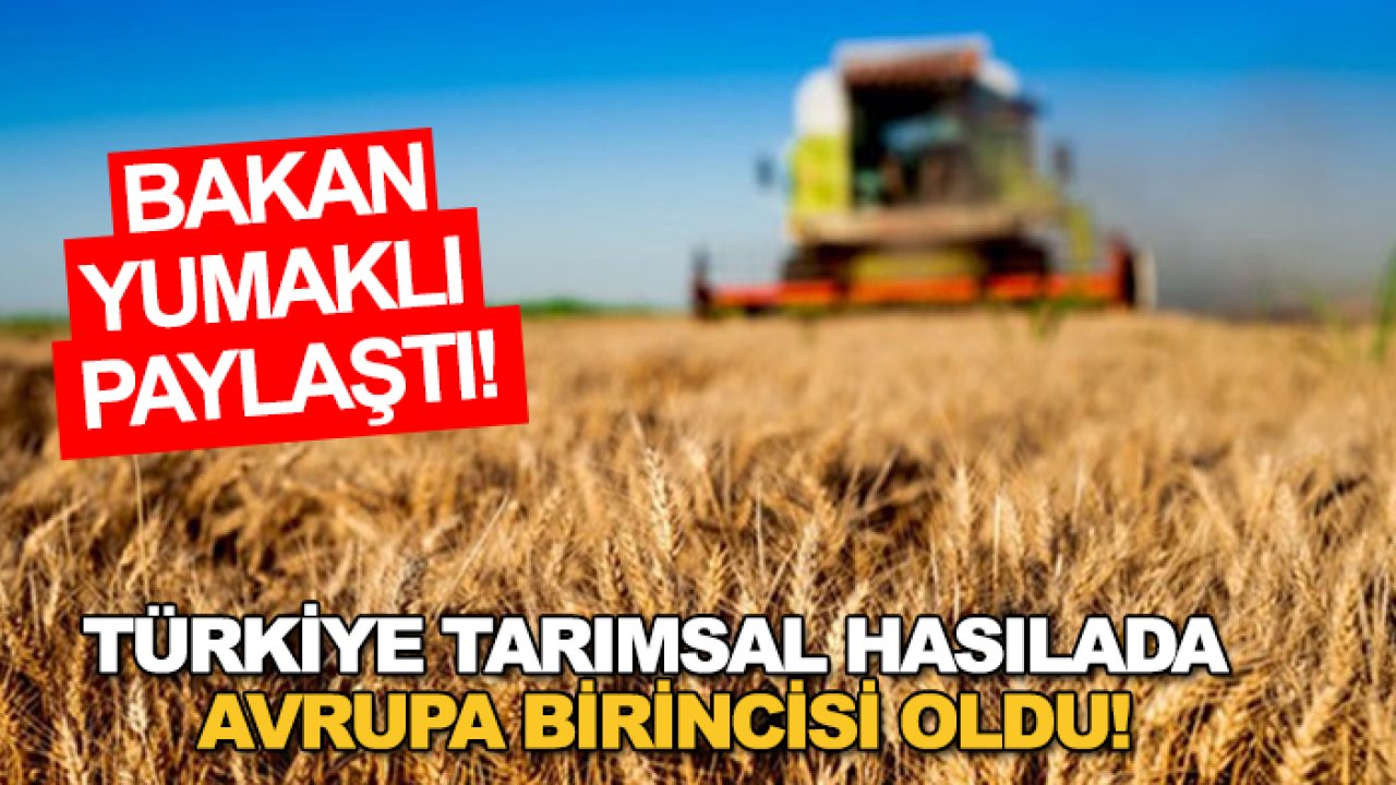 Türkiye tarımsal hasılada Avrupa birincisi oldu!