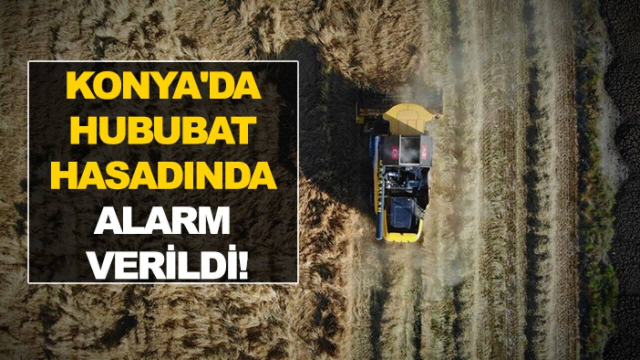 Konya'da hububat hasadında alarm verildi