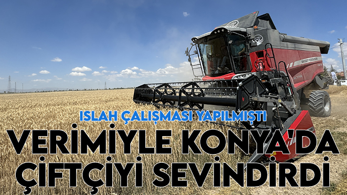 Islah çalışması yapılmıştı, verimiyle Konya'da çiftçiyi sevindirdi