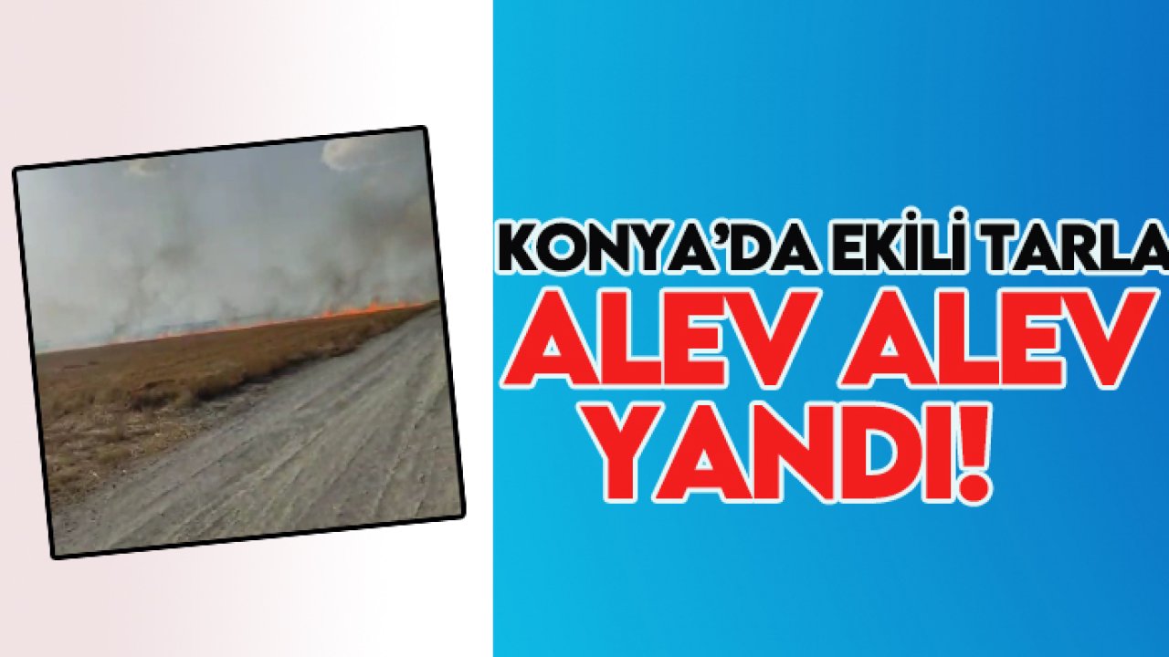Konya’da ekili tarla alev alev yandı!