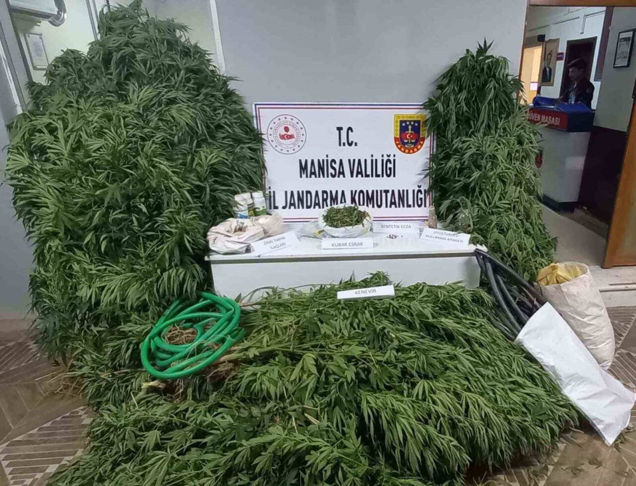 Cezaevinden kaçtı kenevir sularken yakalandı