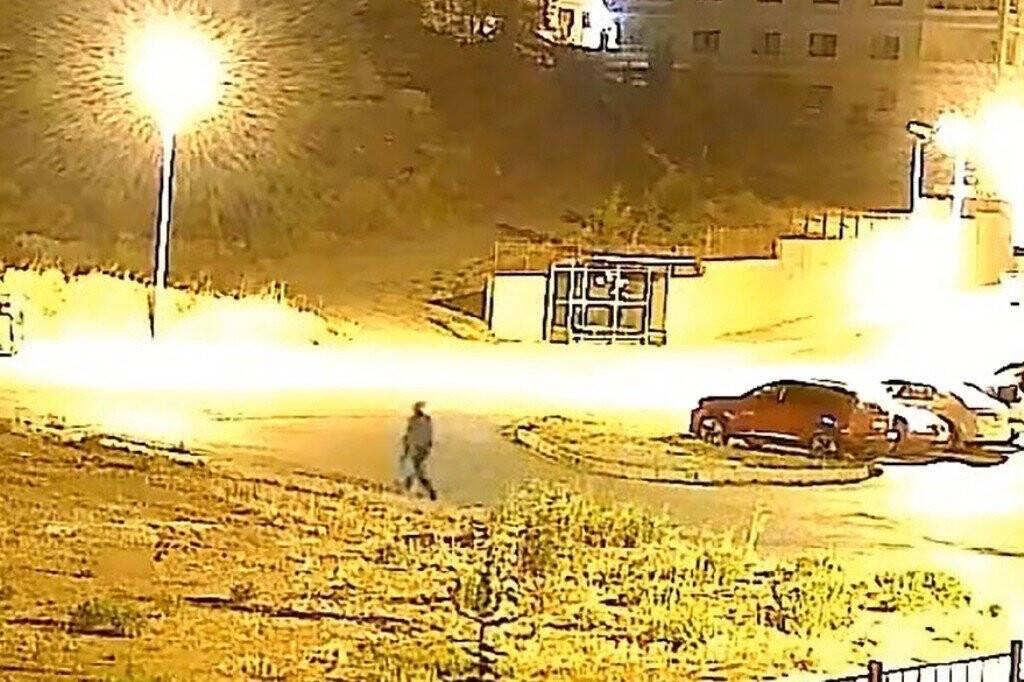 Yok artık bu da oldu: Çam ağacını sökerek çaldılar (TIKLA&İZLE)