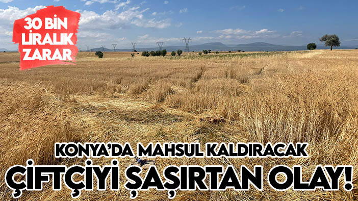 Konya'da mahsul kaldıracak çiftçiyi hayrete düşüren olay! 30 bin liralık zarar  var