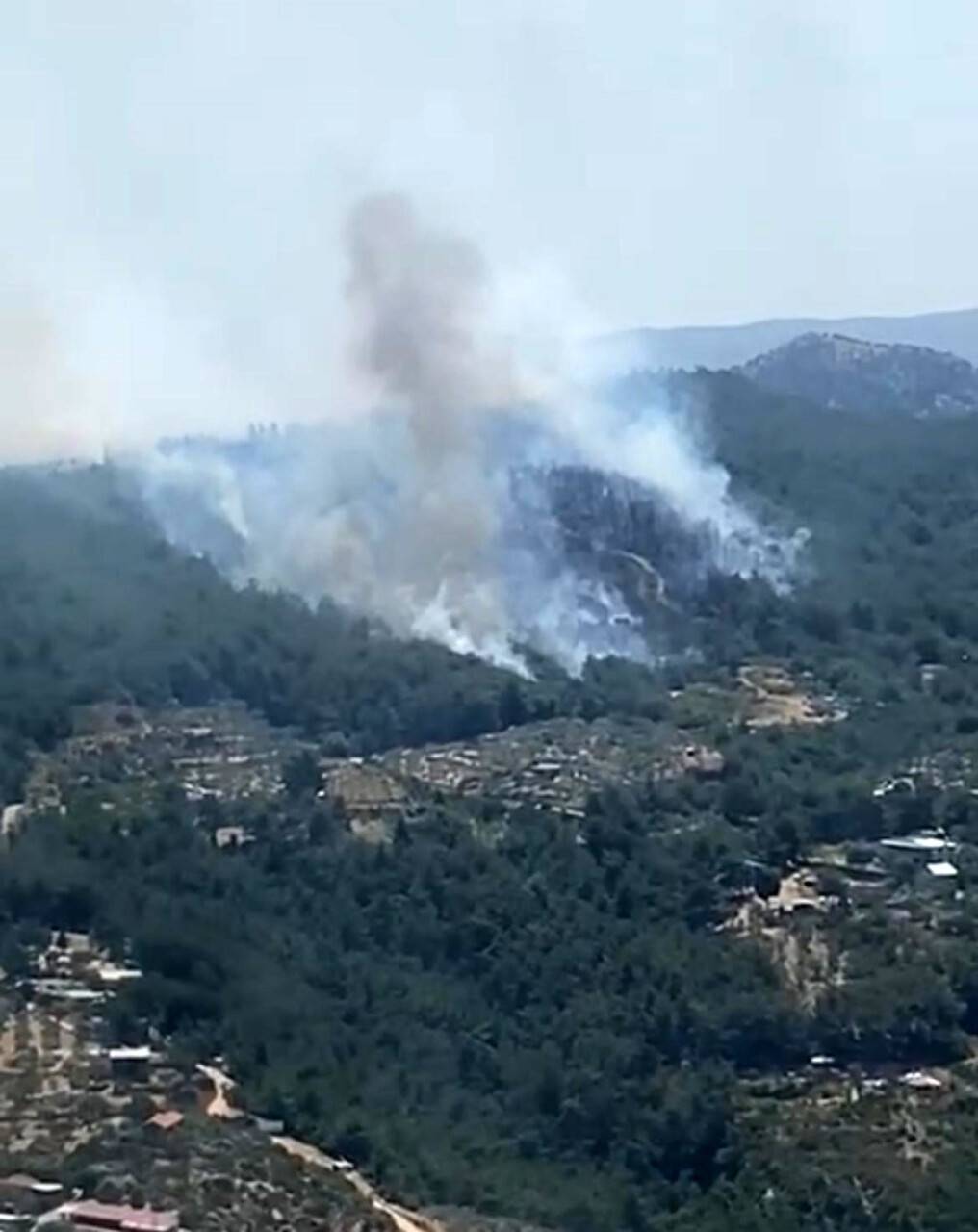 Menderes’te ormanlık alan alevlere teslim oldu