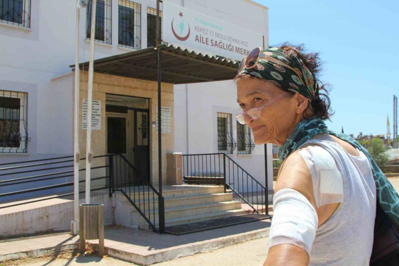 Besledikleri kedinin saldırısı sonucu hastanelik oldular