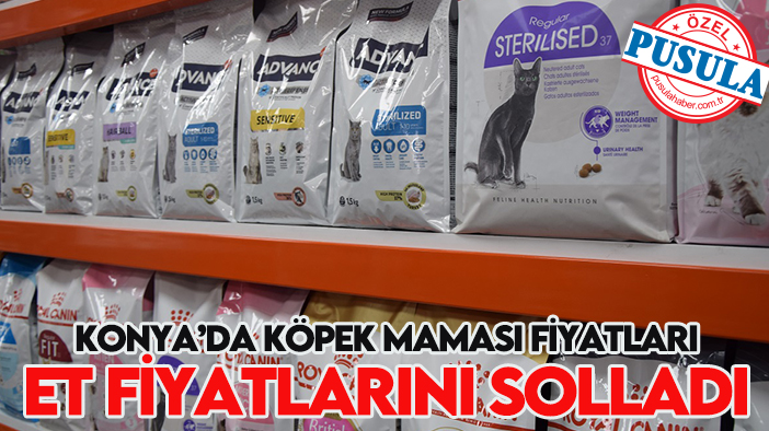 Konya’da köpek maması fiyatları et fiyatlarını solladı