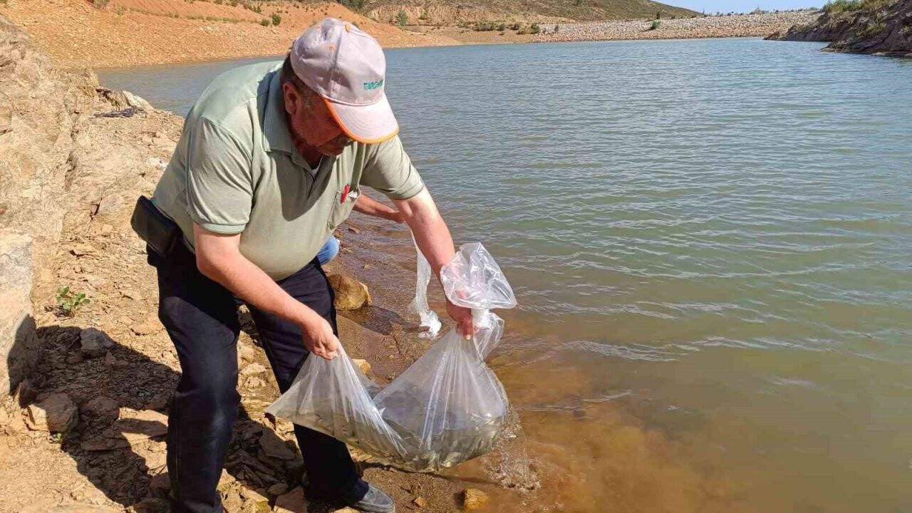 Konya’nın ilçelerine 1 milyon 170 bin adet bırakıldı!